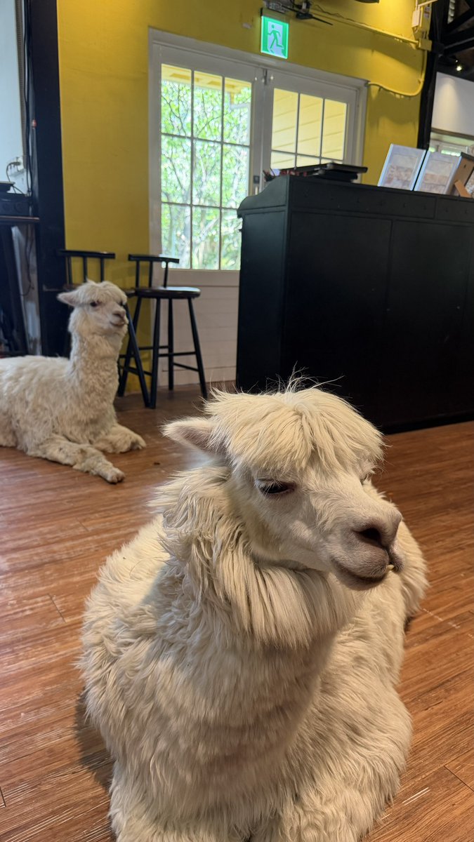 Priyesh Sharma tweet media