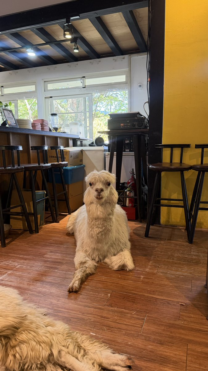 Priyesh Sharma tweet media