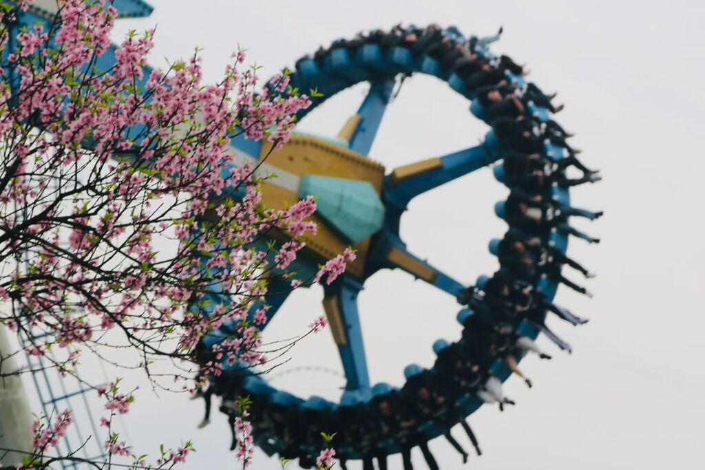ChongqingFuling's tweet image. Meixin Wine Town is buzzing this spring.🌸
Ride cable cars into blooming hills and enjoy views of flower fields from above. Visitor numbers keep rising, carrying on the holiday momentum into the season.
#Chongqing #Fuling #SpringInChina