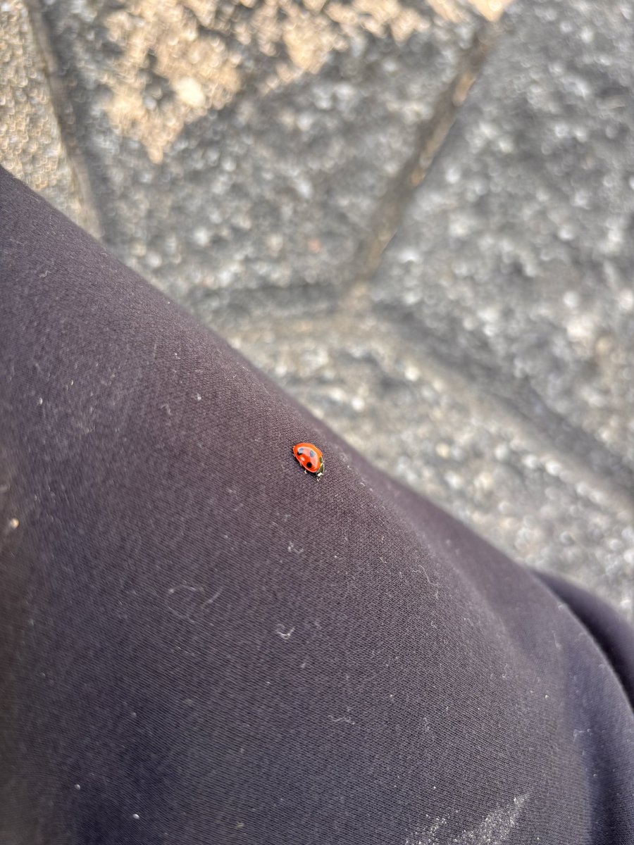 ツーバイマン🏠ヒロキ(2x4 構造設計) tweet media