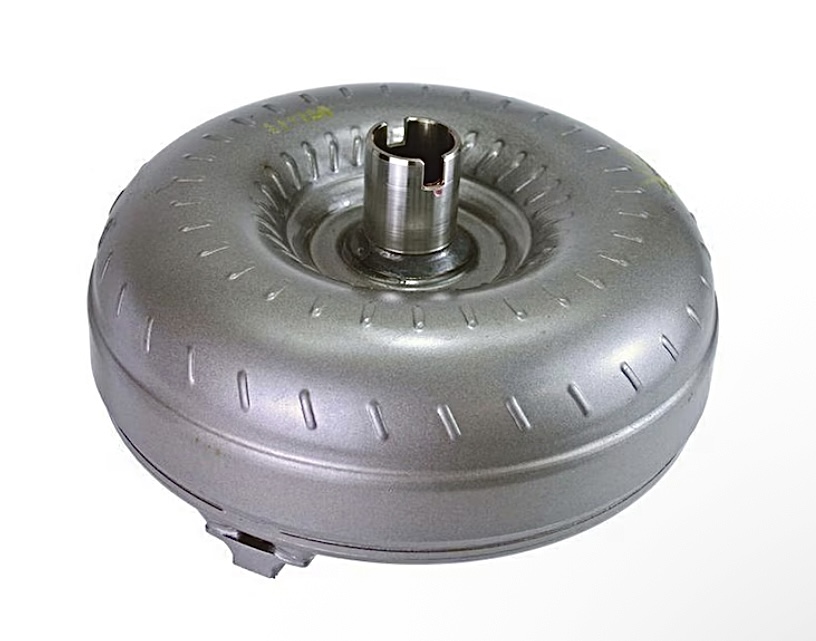 Denise 🤌🐾🇮🇹 tweet media