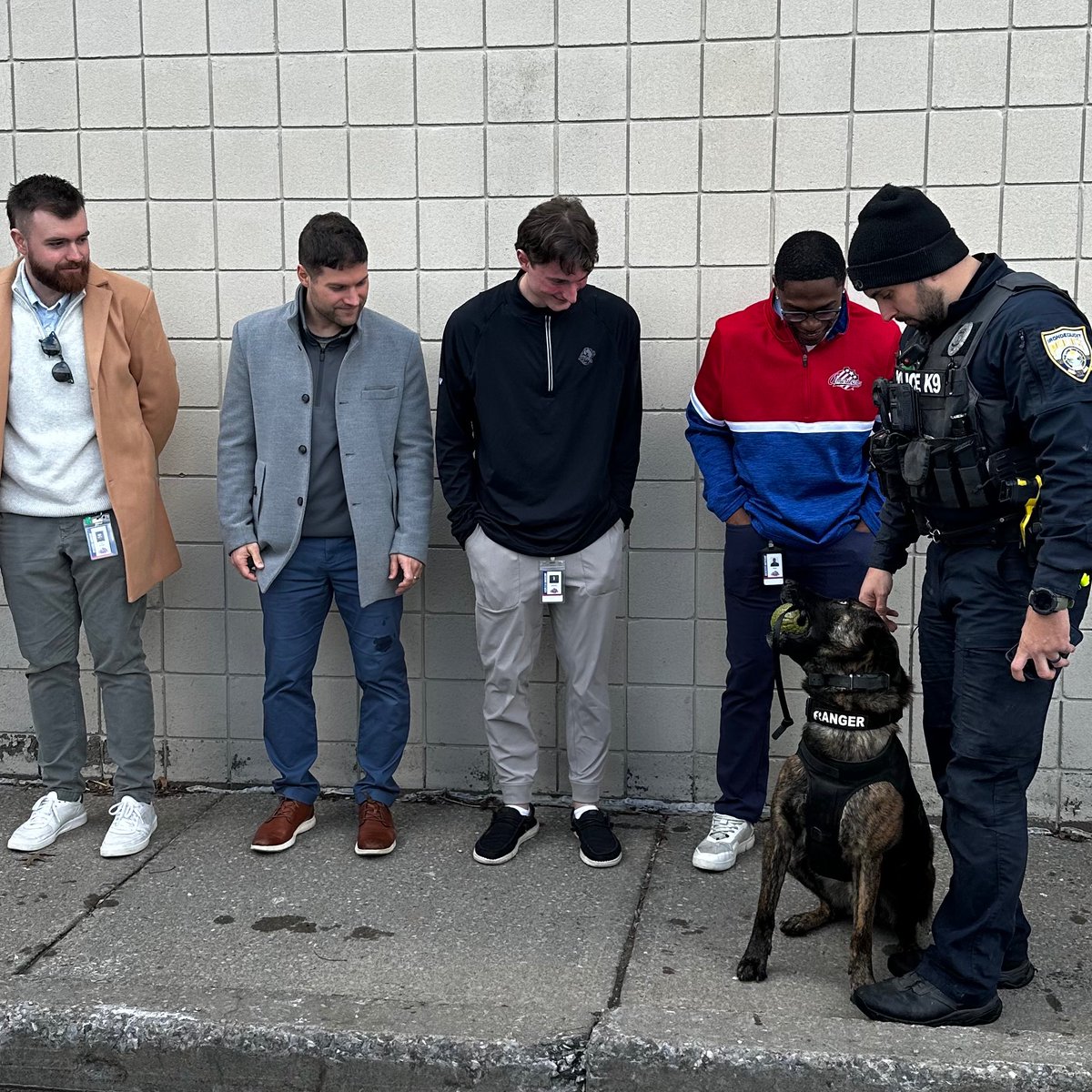 Rochester Americans tweet media