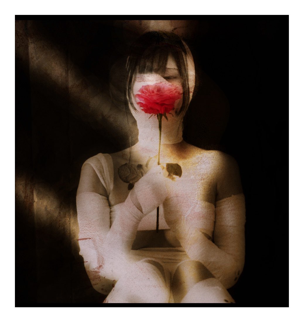 YONCO (よんこ) tweet media