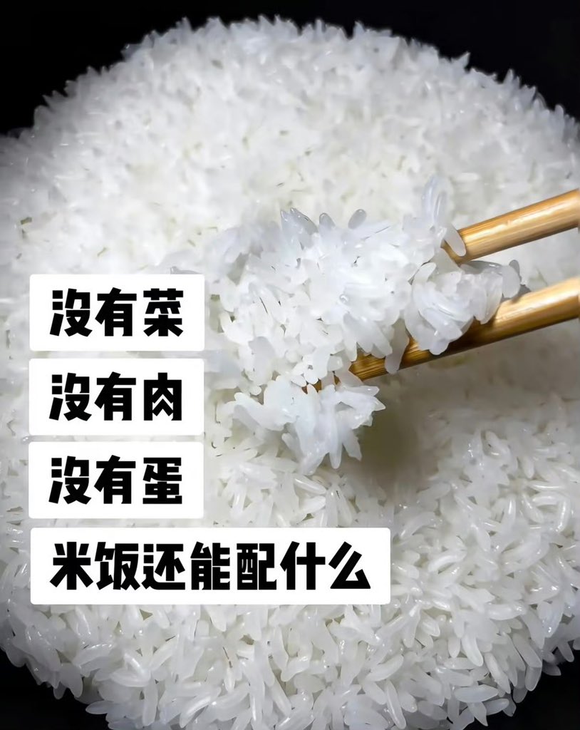 夜之城鼠鼠 tweet media