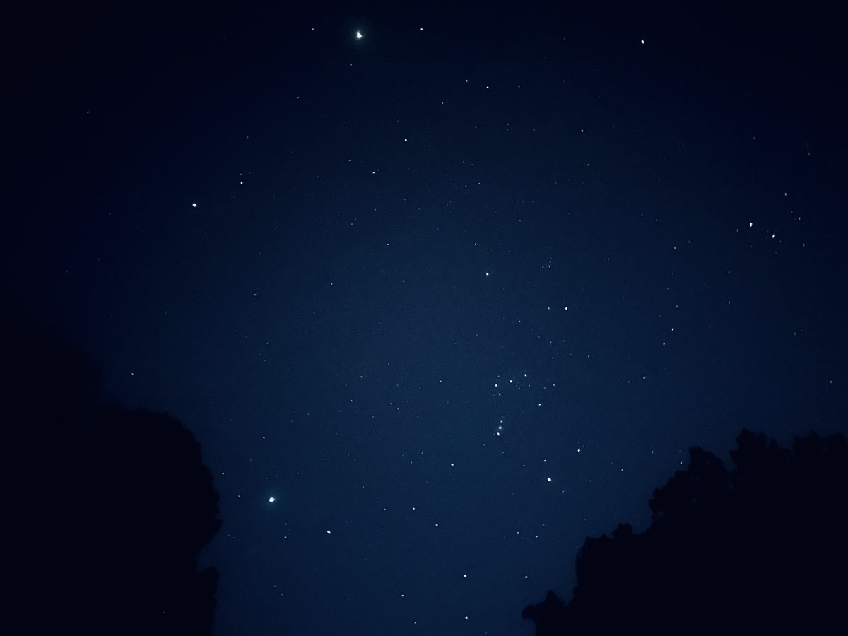 Middleton Whittaker tweet media