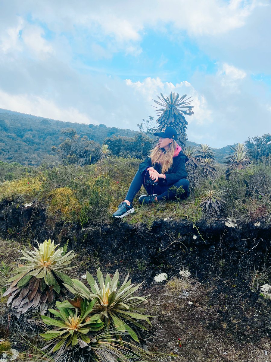 Steph Bates Prensa tweet media