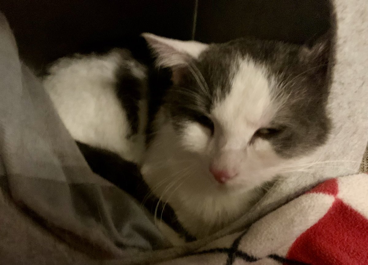 Gregory B. Sadler - That Philosophy Guy tweet media