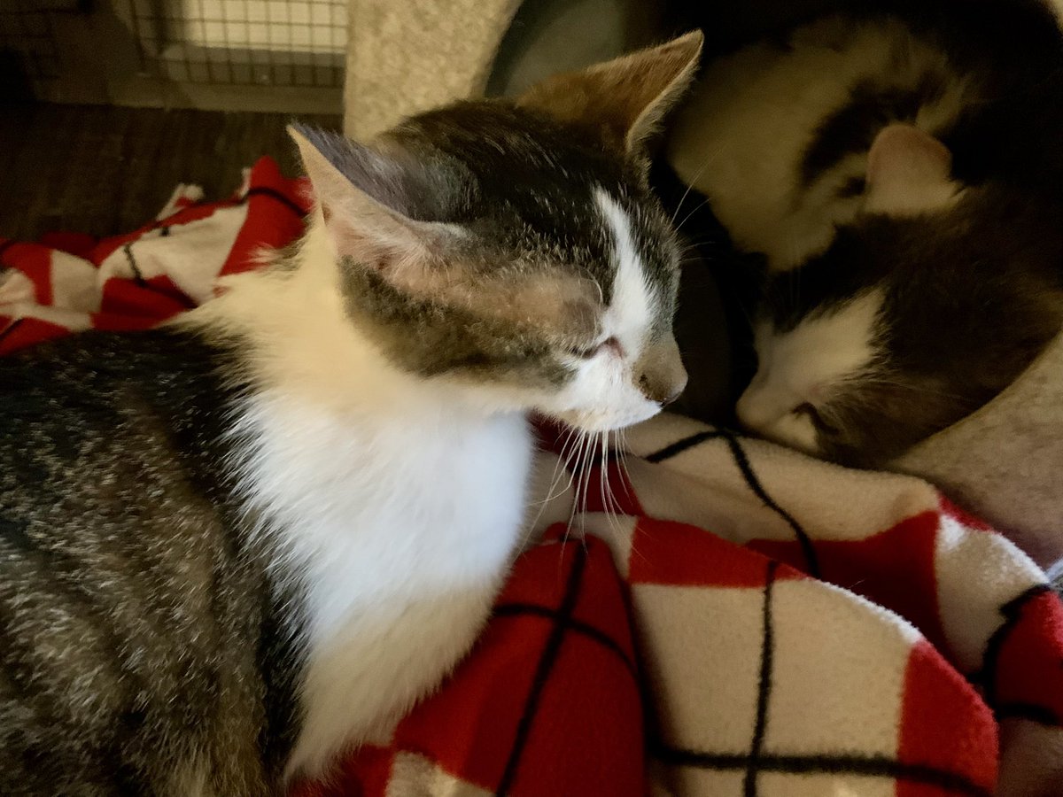 Gregory B. Sadler - That Philosophy Guy tweet media