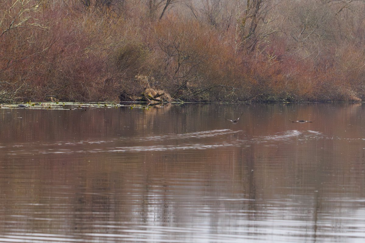 Cee 🎄 tweet media