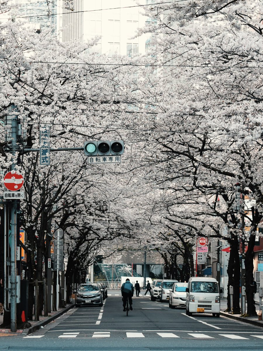 Magical views tweet media