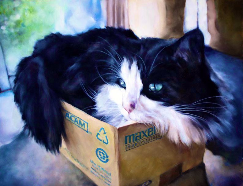 "Mad Cat" Cattis tweet media