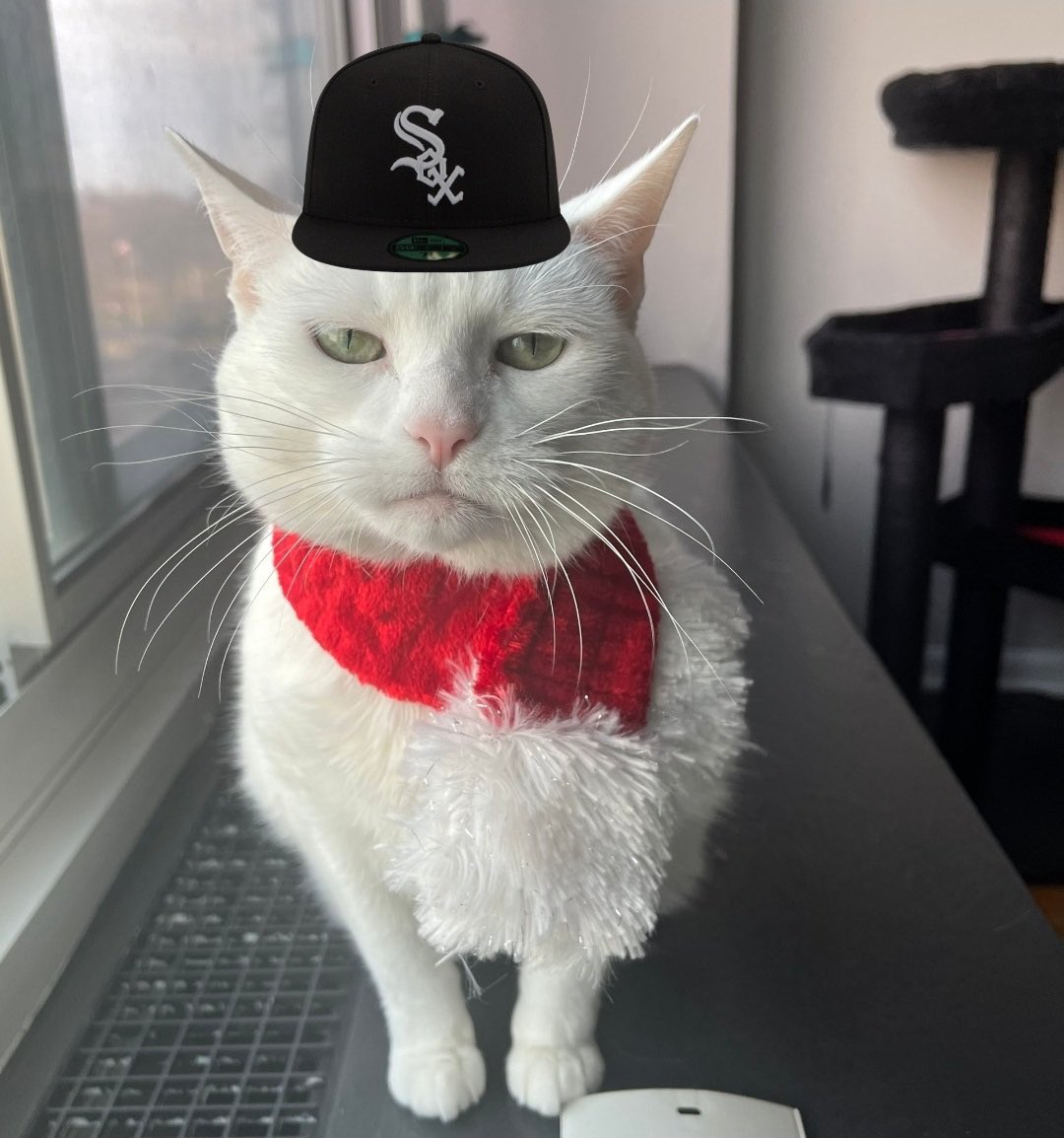 L7🧟‍♀️ tweet media