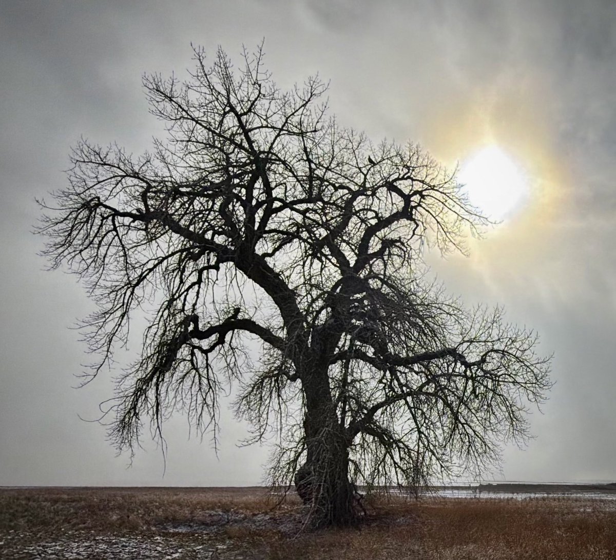 D Miller tweet media