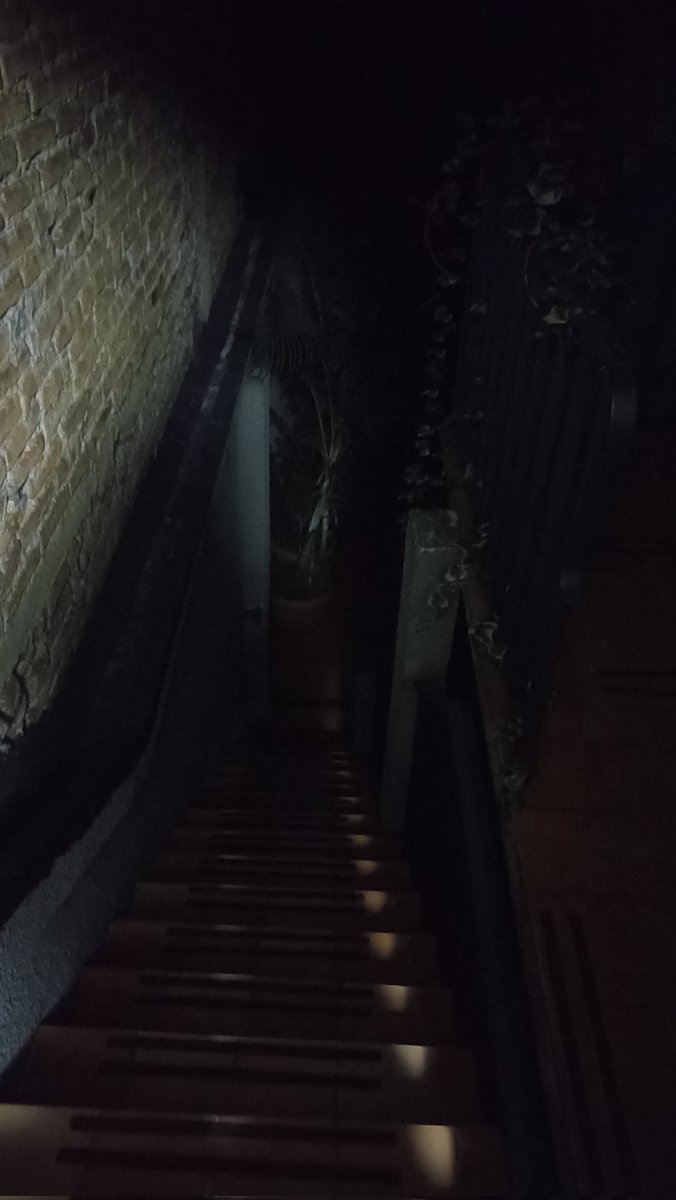 con acento en la i. 💜💚🩷 tweet media