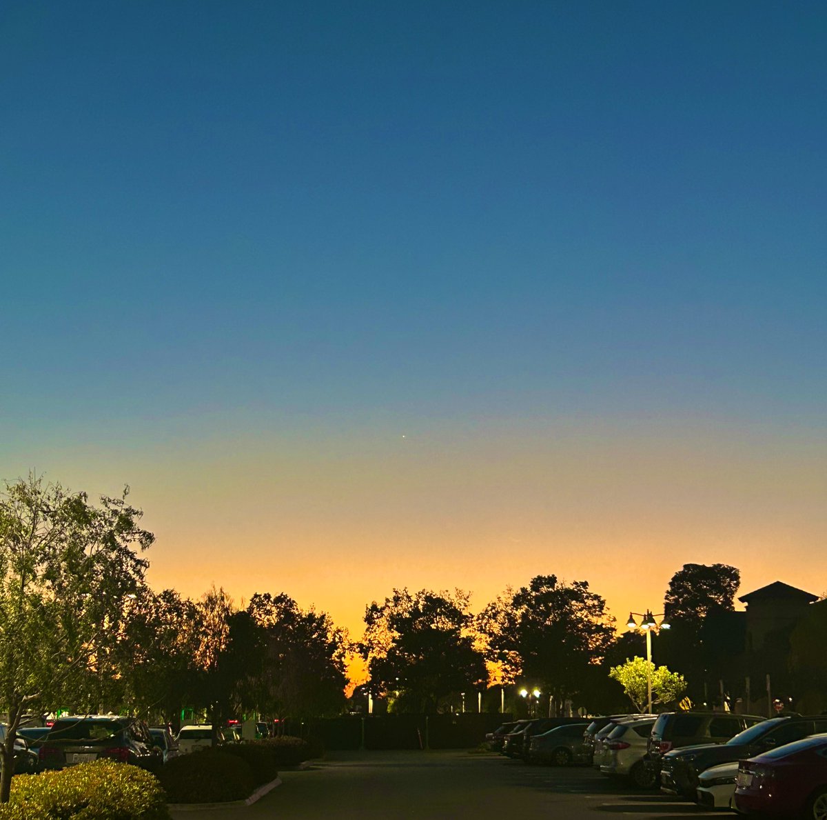 Erin 💙 tweet media