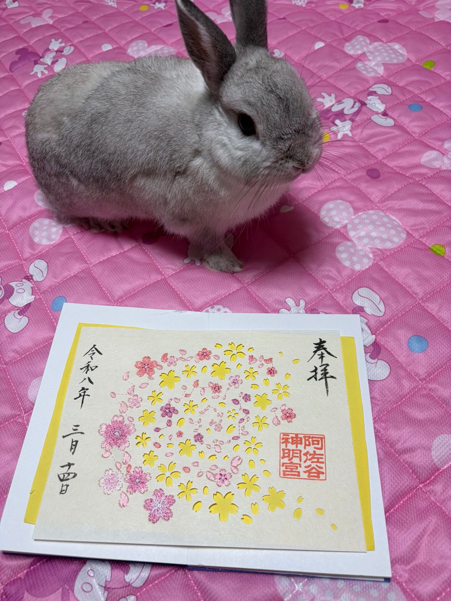 プリンセスラビット tweet media