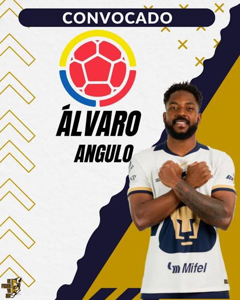 Hecho en CU tweet media