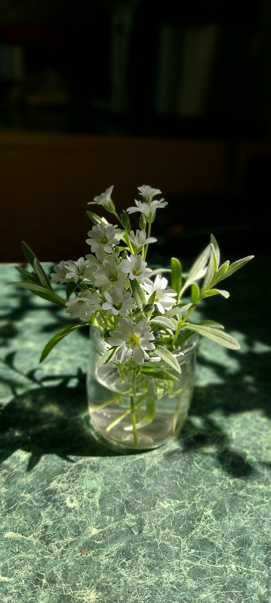 Purely Green tweet media