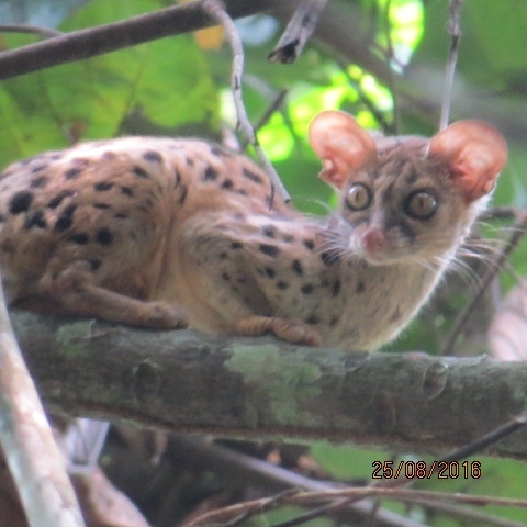 Slightly Contemptuous tweet media