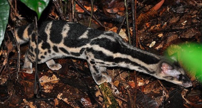 Slightly Contemptuous tweet media