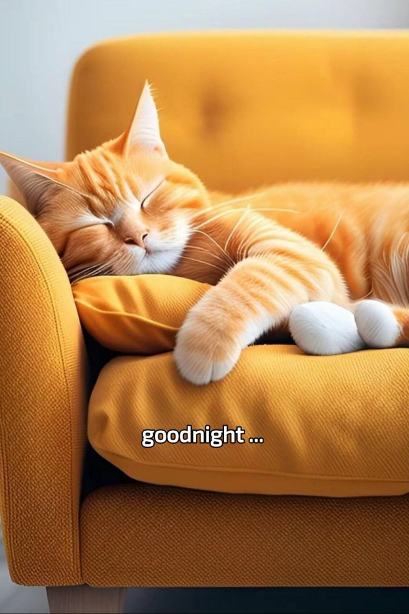 Tamia K. Only tweet media