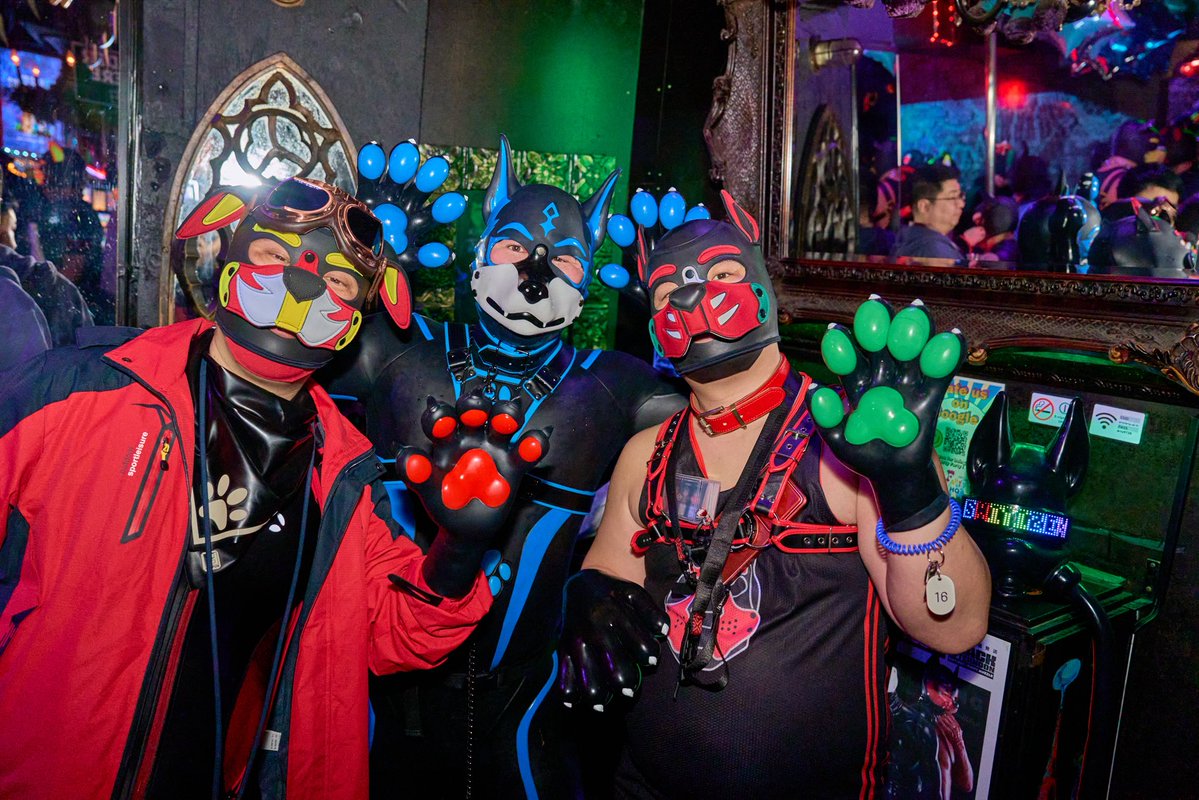 たふ(tuffet) tweet media