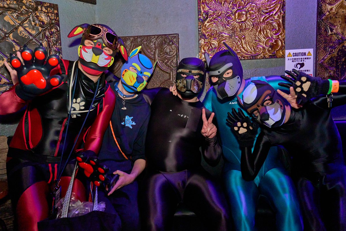 たふ(tuffet) tweet media