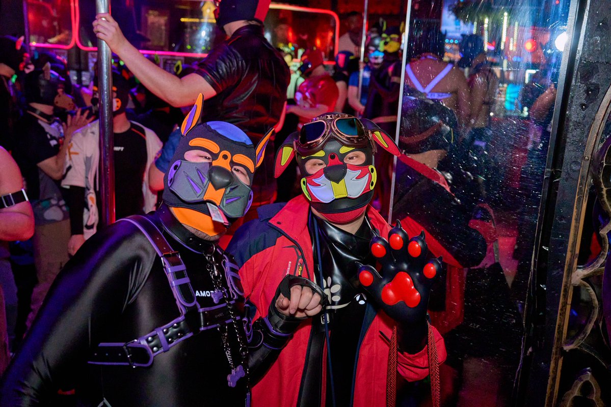 たふ(tuffet) tweet media