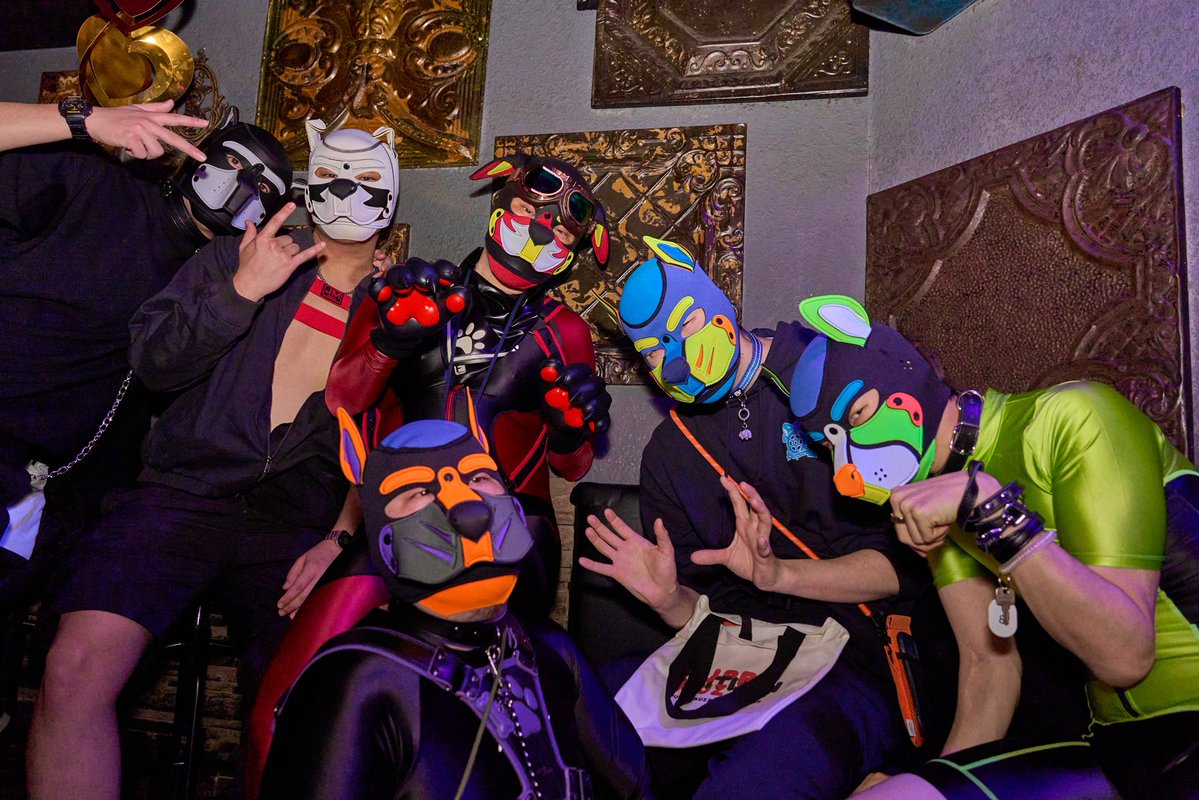 たふ(tuffet) tweet media