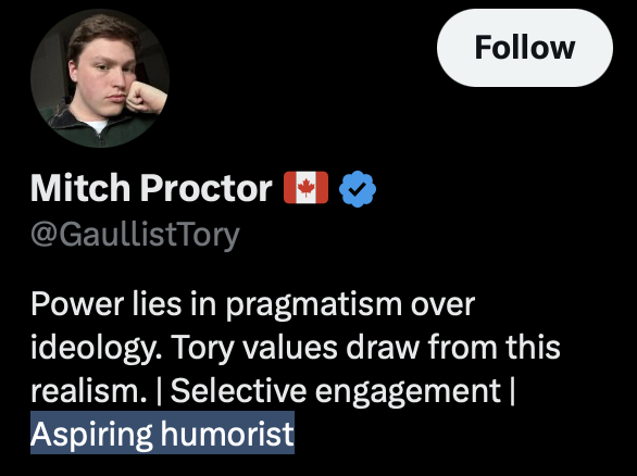 FergusCircus tweet media