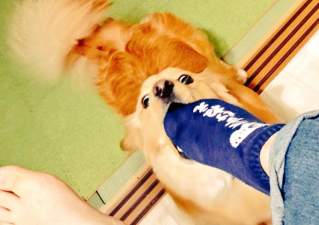 おキャノ坊🤪 tweet media