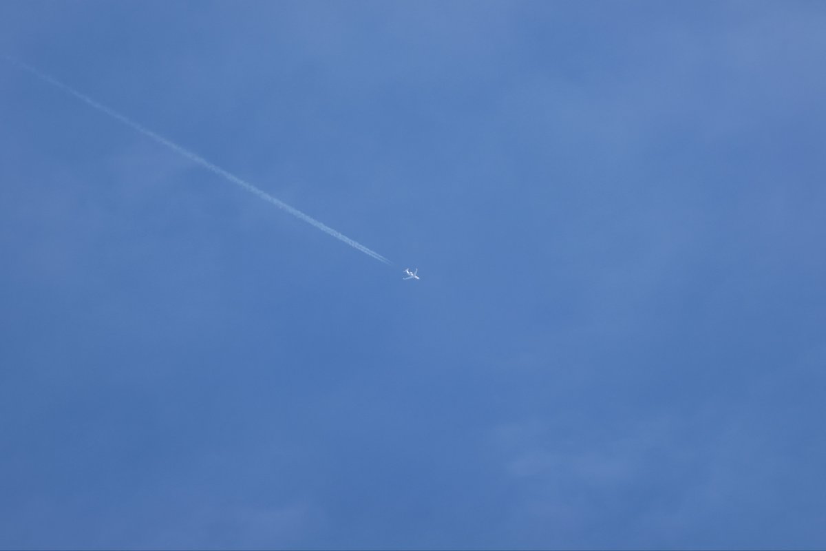 Indy Spotter tweet media