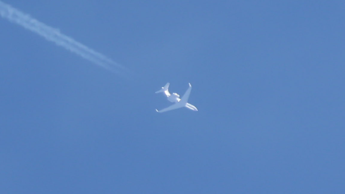 Indy Spotter tweet media