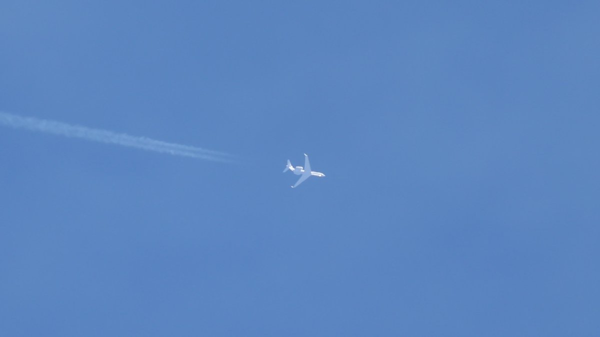 Indy Spotter tweet media