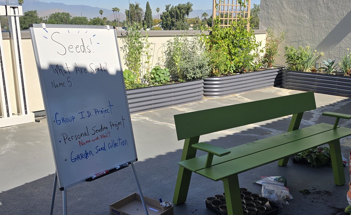 MzJd ❤🐢📚☕🐝 tweet media