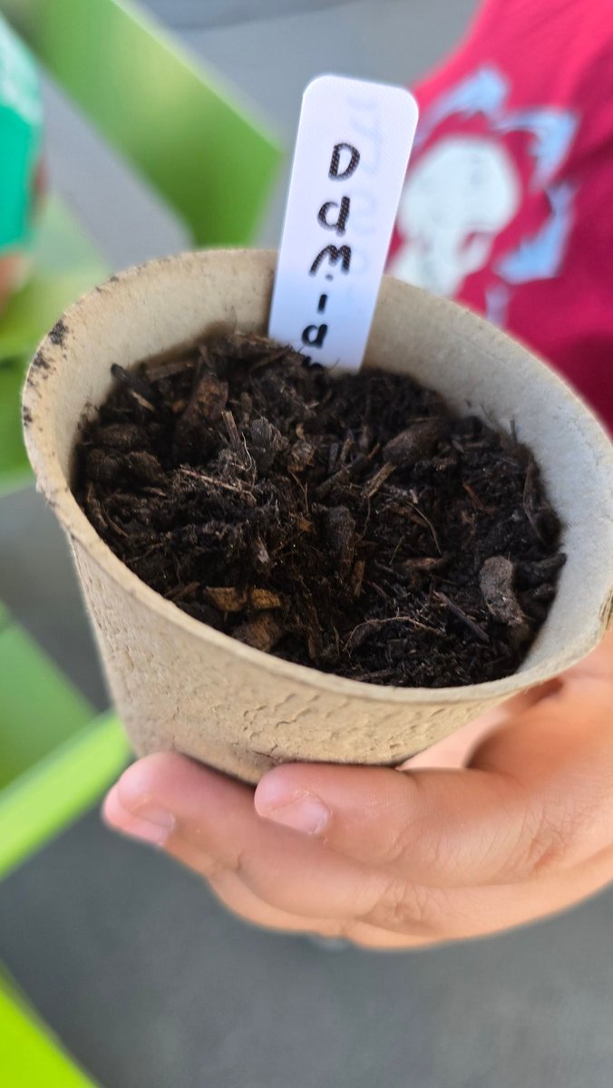 MzJd ❤🐢📚☕🐝 tweet media