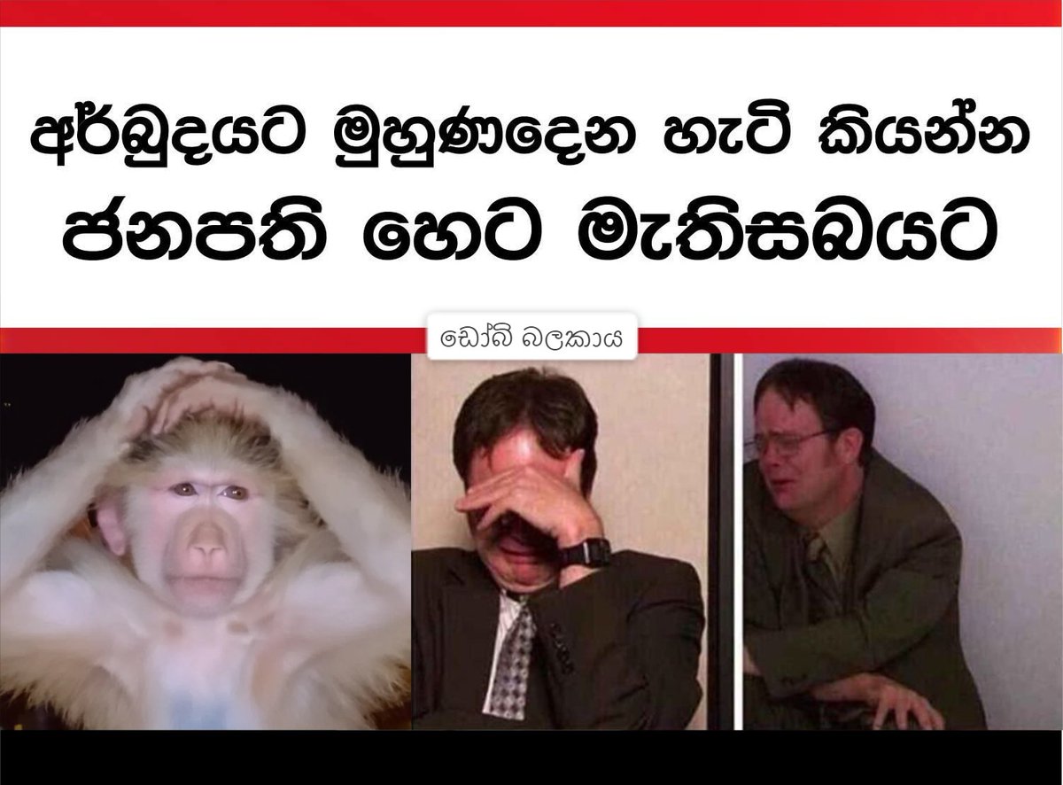 ඇටුම්‼️ tweet media