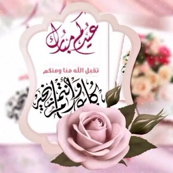 هناء➿ tweet media