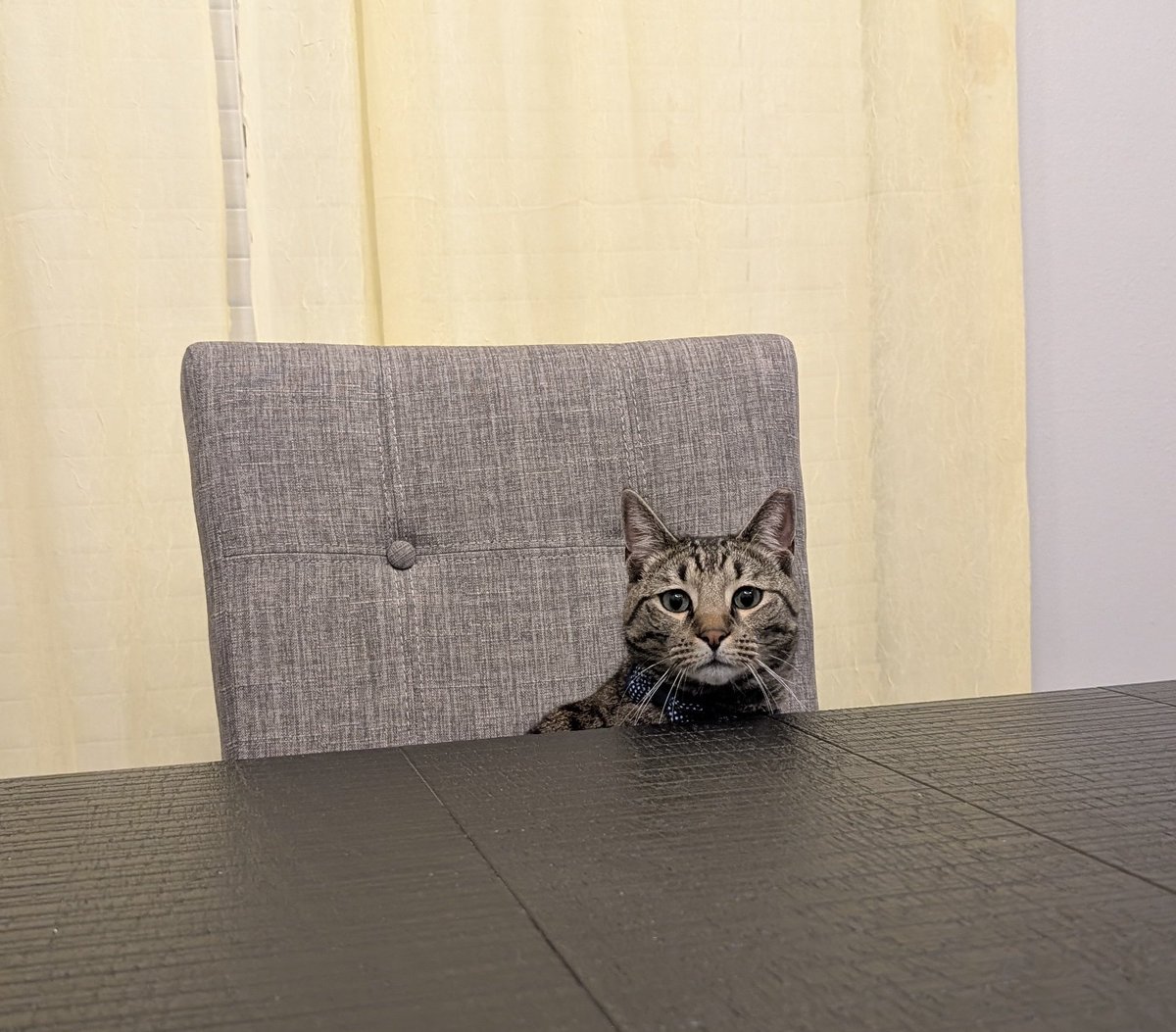 PAR | Romanova 🔜 Japan tweet media