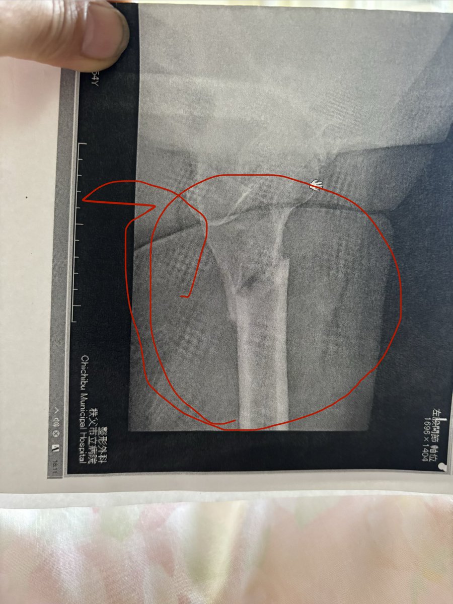 自然郷 東沢（Shizengo Higashizawa) tweet media