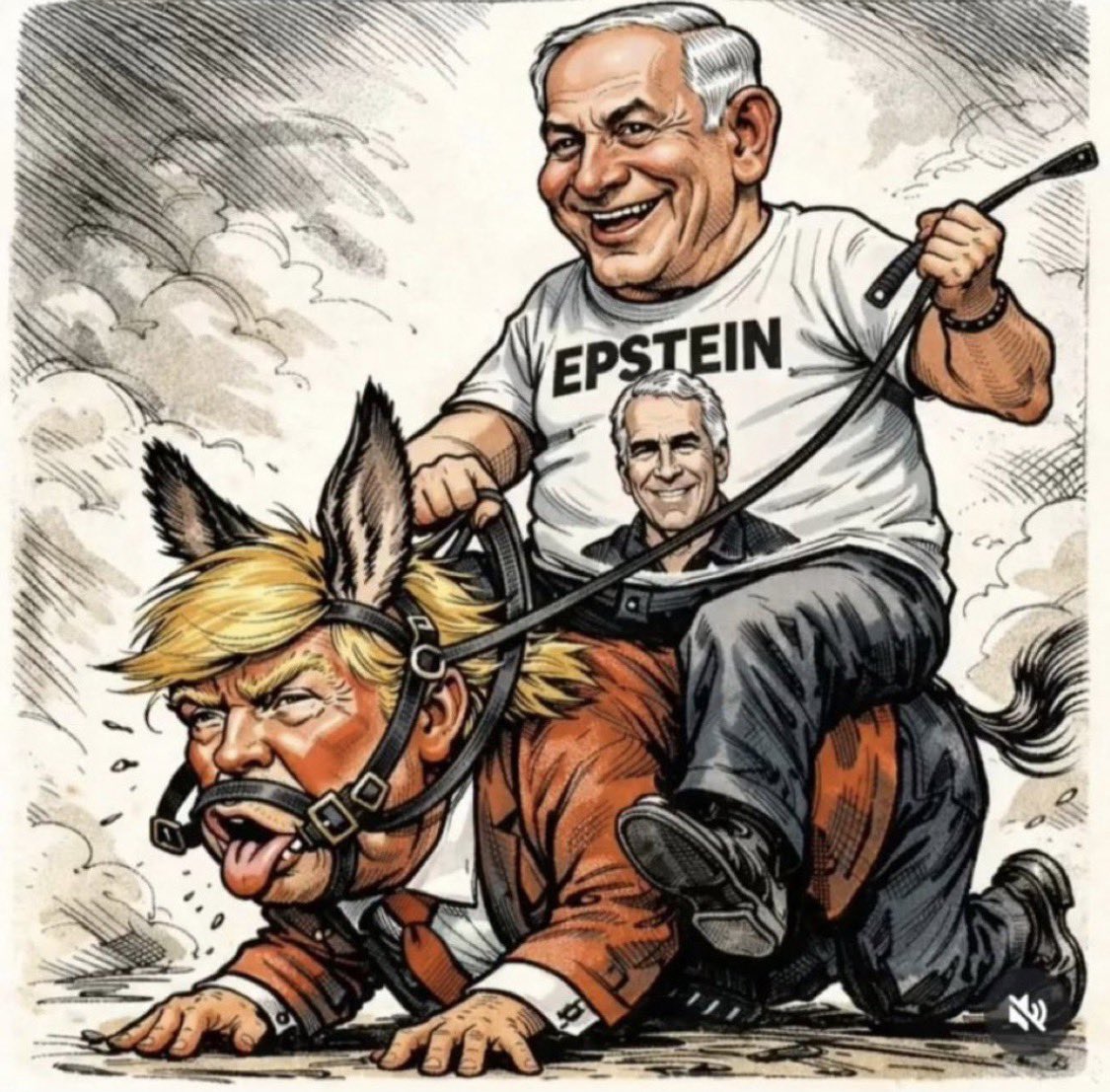 DanC ₿ tweet media