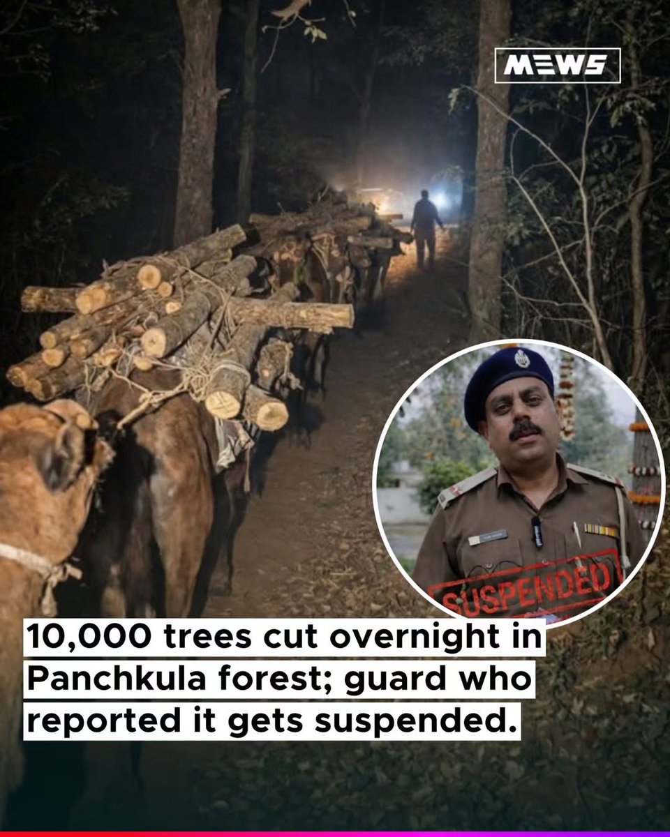 Dr Ranjan tweet media