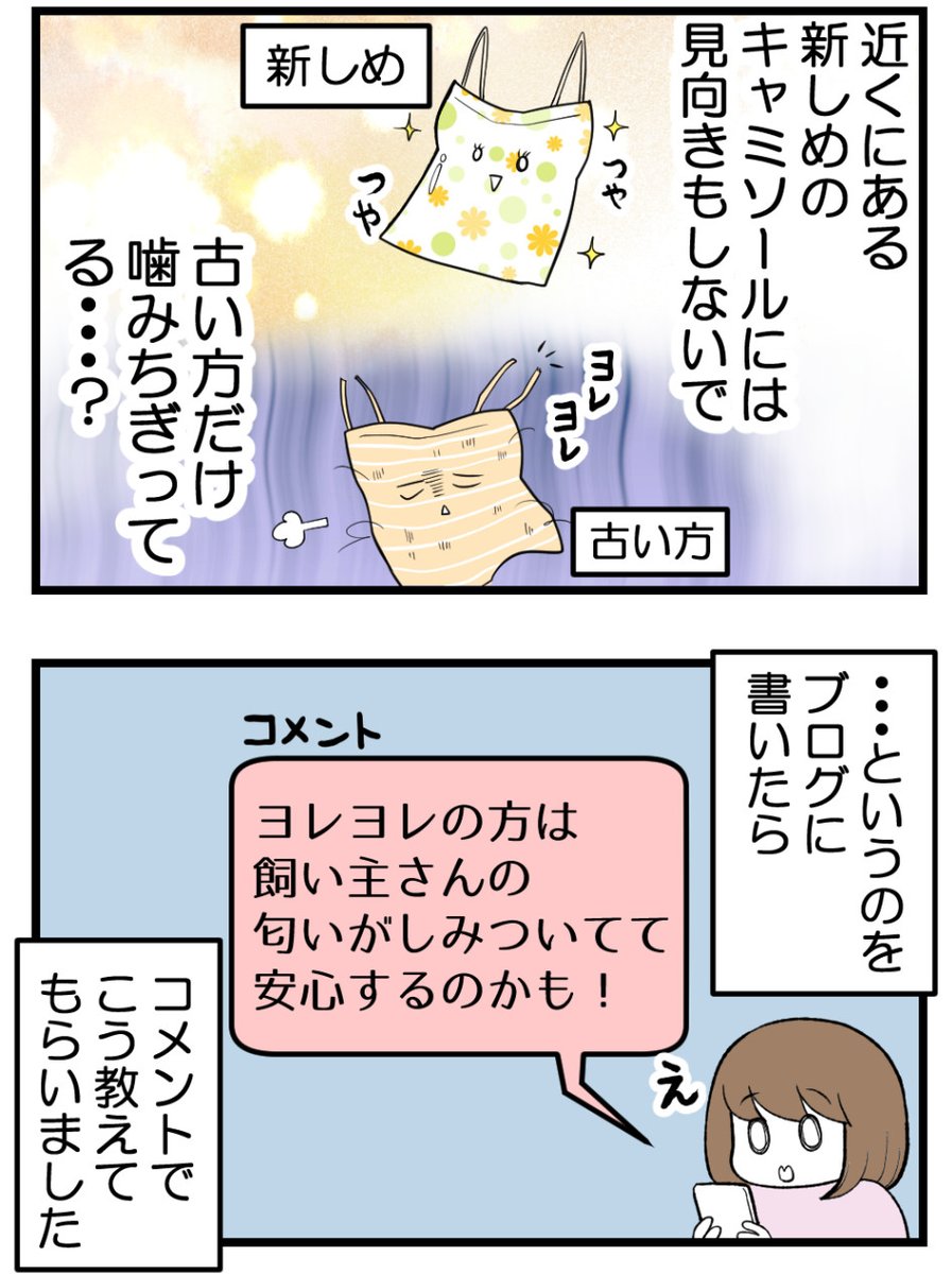 (2/3) 