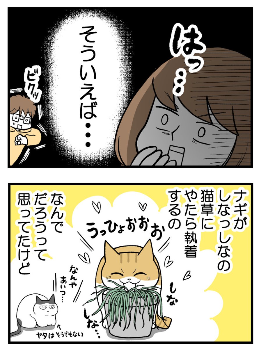 (2/3) 