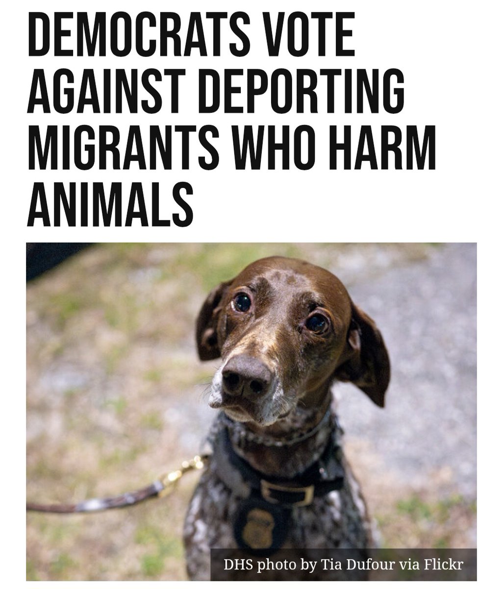 Breitbart News tweet media