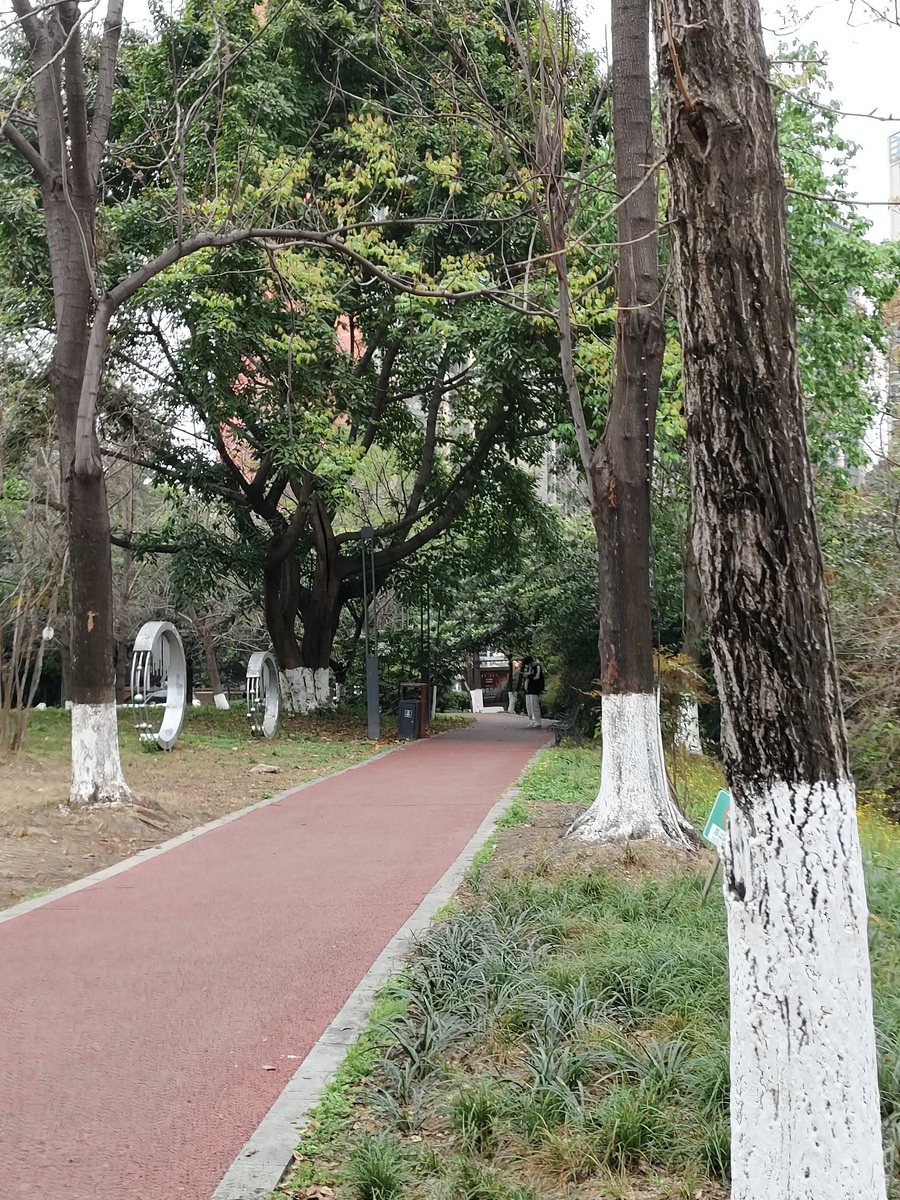 奶茶🧋 tweet media