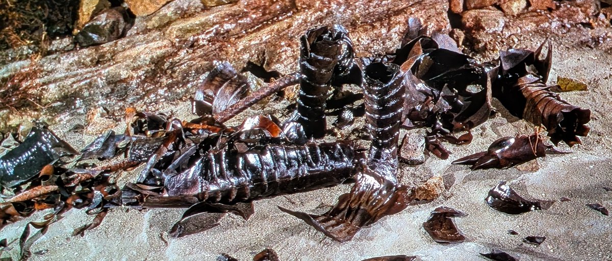 @EijiMove tweet media