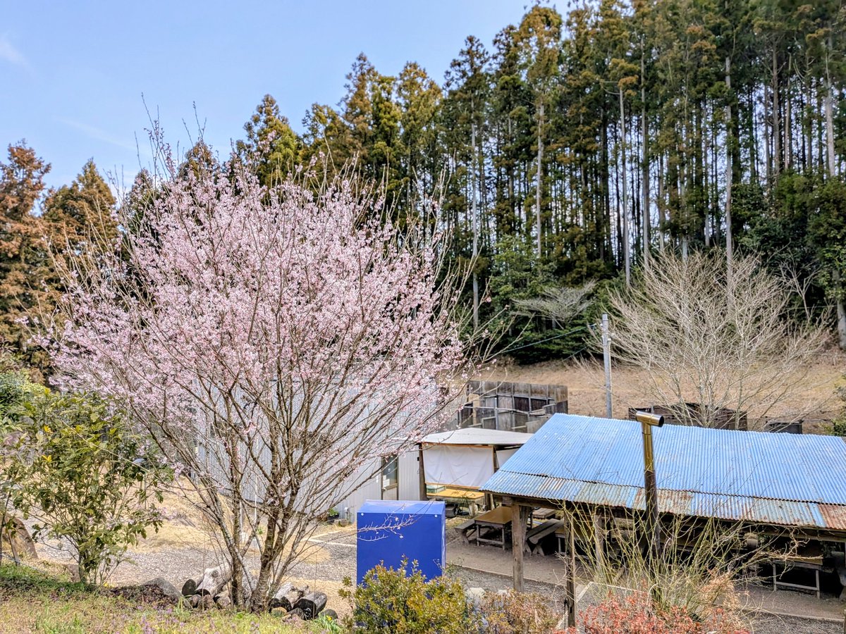 CAMP御戦@10周年 tweet media