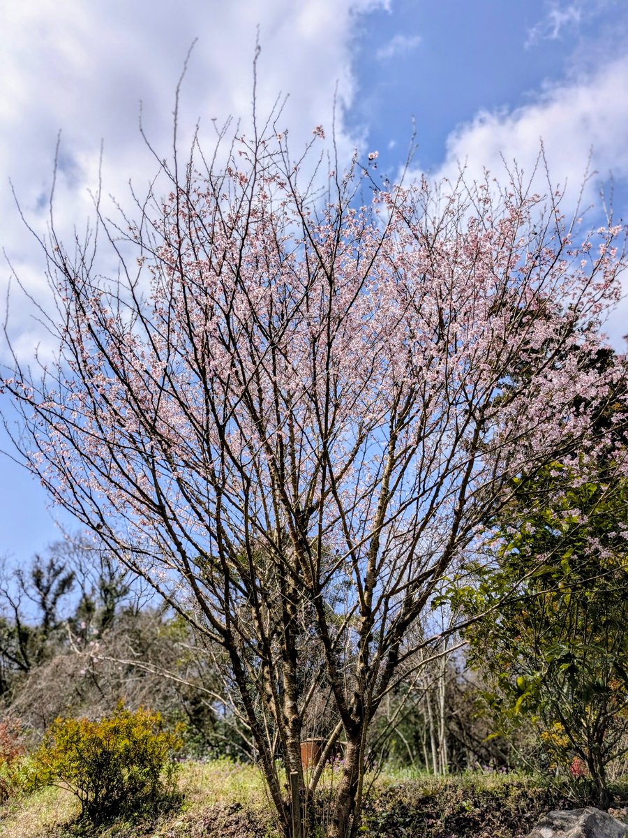 CAMP御戦@10周年 tweet media