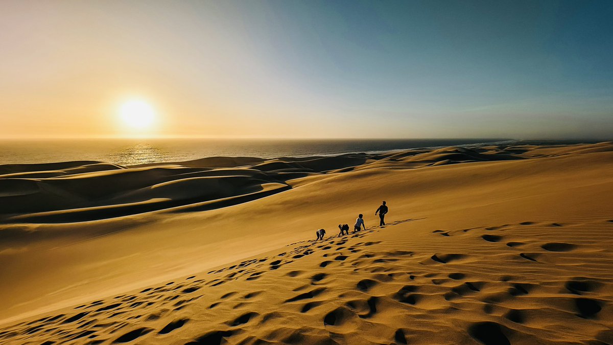 Davidzhu tweet media